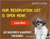 /images/puppies/large/172016-our-reservation-list_reservation.jpg