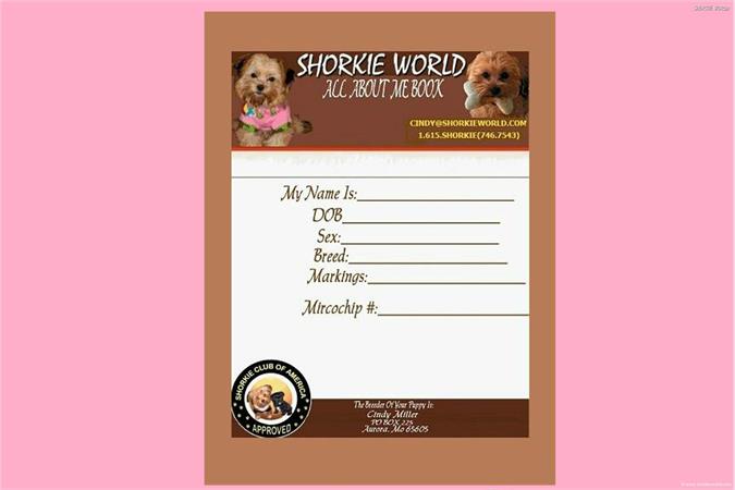/images/puppies/large/24each-baby-comes-with-their-own-personalize-book_swbook.jpg