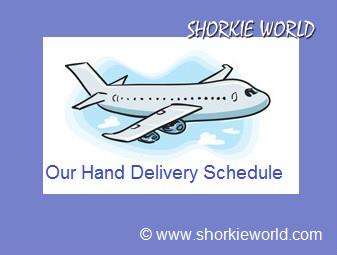 Hand Delivery --Meet Us In PERSON!!!